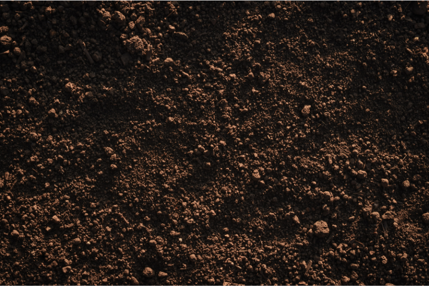 Soil